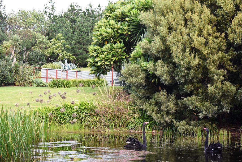 Wai Hou Oma Lodge Kaihu Exterior foto